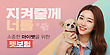 17020849