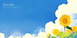 17024552