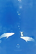 17024617
