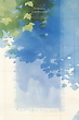 17025674