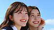 17026059