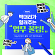 17028204