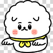 17036716
