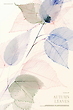 17038013