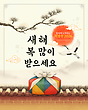 17039011
