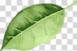 17040189