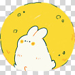 17040354