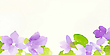 17040879