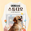 17042040