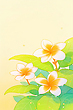 17044076