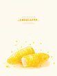 17047055