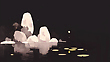 17049442