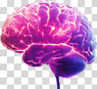 17049849