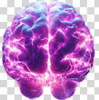 17049850