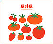 17053608