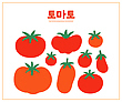 17053609