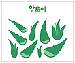 17053624
