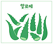 17053625