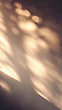 17056422