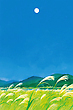 17056663