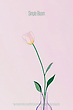 17057280