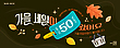 17060038