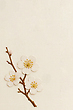 17060259