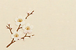 17060260