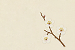 17060265
