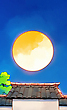 17060696