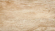 17061910