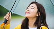 17064845