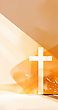 17065878