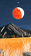17065956