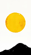 17067344