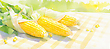 17068965