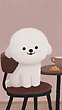 17070390