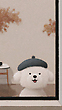 17070392