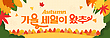 17072908