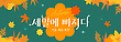 17072910