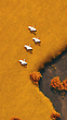 17073334