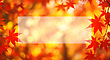 17077447