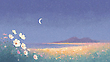 17081588