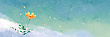 17081606