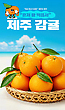 17083237