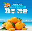 17083238