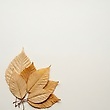 17086908