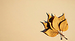 17086910