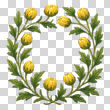 17145146