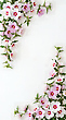 17159673